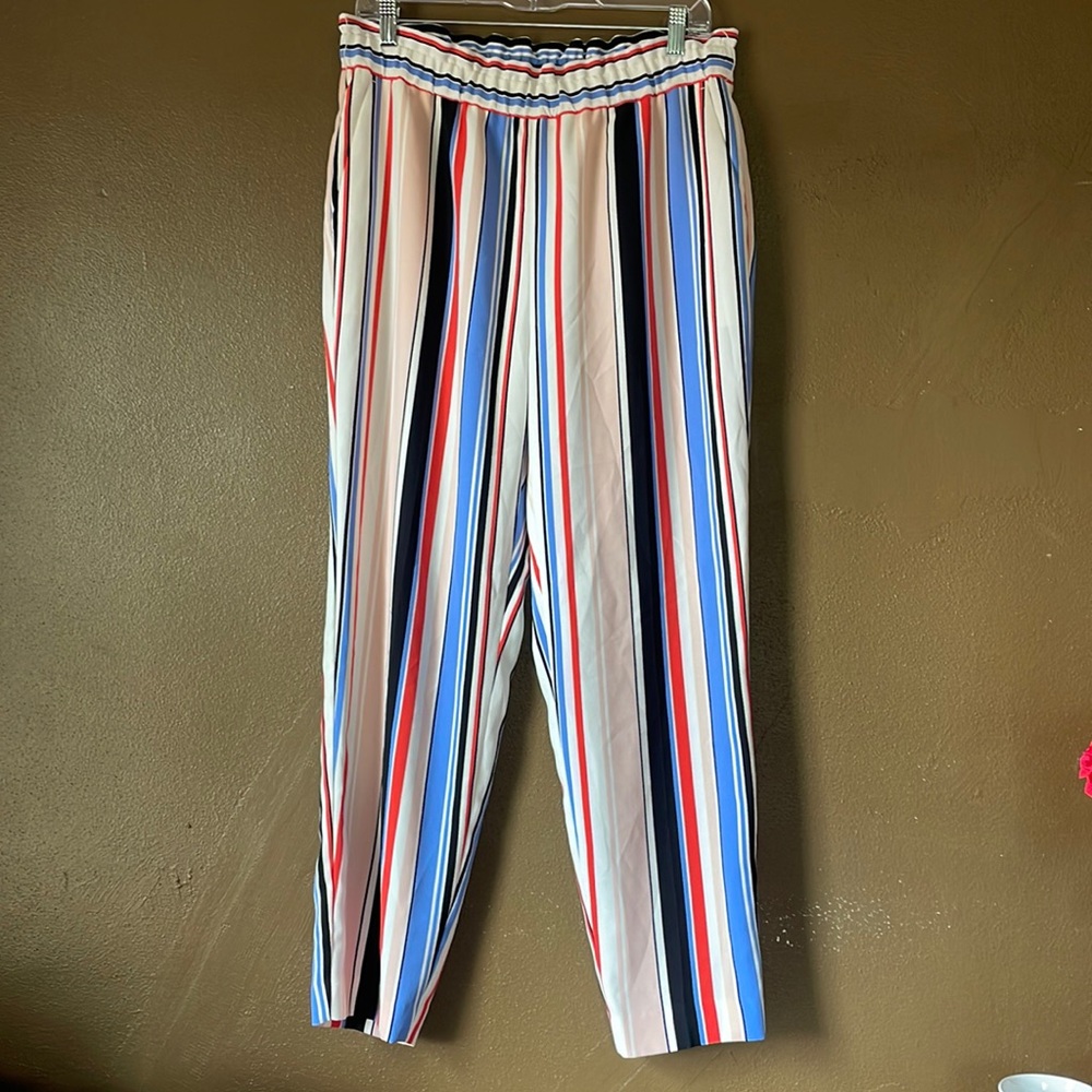 Express Red, White, and Blue Striped Lightweight Pants / Size Medium